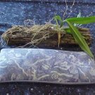 Essential Oil Dream Pillow - DPedp