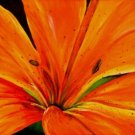 Orange Lily Print - NWpp