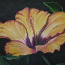 Yellow Flower Print - NWyf