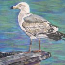 Seagull Print - NWsp