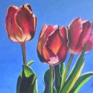 Three Tulips Print - NWttp