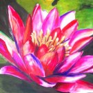 Waterlily Print - NWppp