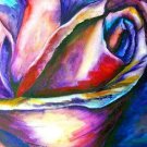 Rose Print - NWrp