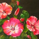 Petite Pink Flowers Print - NWpfp