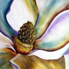 White Magnolia Print - NWwfp