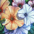 Watercolor Petunias Print - NWpfp