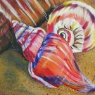 Seashell Print - NWssp