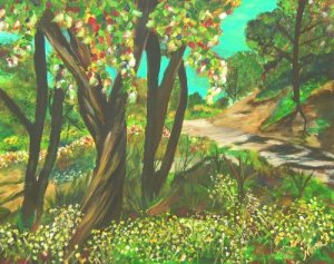 Chula Trail Print - NWctp
