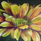 Yellow Daisy Print - NWcp