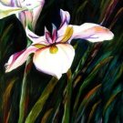 White Lily Print - NWwlp