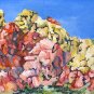 Calico Basin - RRcb