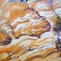 Rock Curves - RRcu