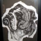 Bulldog - AAbd