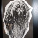 Afghan Hound - AAah