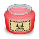 Christmas Cheer Soy Candle 5 oz. - FHccs5