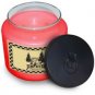 Fun in the Sun Soy Candle 16 oz. - FHfss6