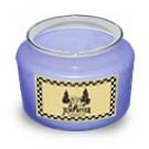 Mountain Lake Soy Candle 5 oz. - FHmts5