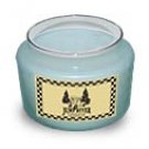 Spring Rain Soy Candle 5 oz. - FHsrs5