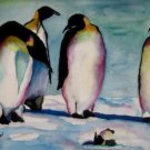 Penguin Tantrum - NWpt