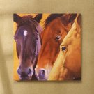 Horses Canvas Art Print - MMho