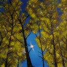 A Beautiful Day - LVbd