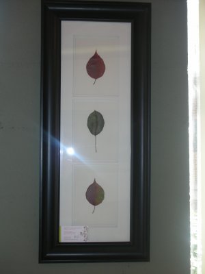 Black Frame With Leaves - CRle