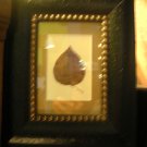 Black Baroque Frame with Single Leaf - CRbb