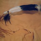 1 Feather Fan - EMff1