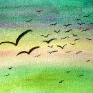 In the Air - NWin