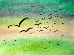In the Air - NWin