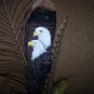 Original Hand Painted Feathers - OWf1