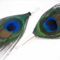 Show Off Dangle Earrings - UEso