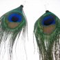 Show Off Dangle Earrings - UEso