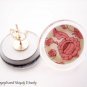 Stylish Post Earrings - UEst