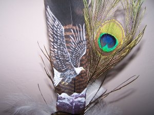 Original Hand Painted Feathers - OWf6