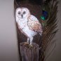 Original Hand Painted Feathers - OWf6