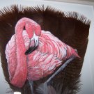 Flamingo Framed Feather Art - OWfl