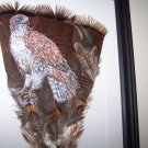 Red Tailed Hawk Framed Feather Art - OWrt