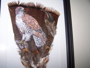Red Tailed Hawk Framed Feather Art - OWrt