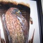 Golden Eagle Framed Feather Art - OWge