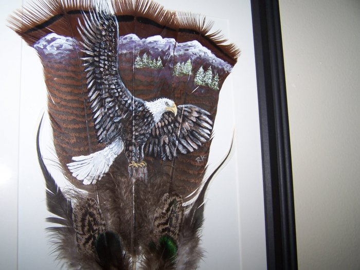 Bald Eagle Framed Feather Art OWbe