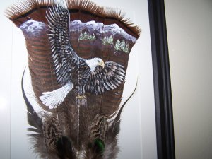 Bald Eagle Framed Feather Art - OWbe