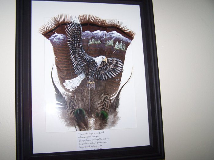 Bald Eagle Framed Feather Art OWbe