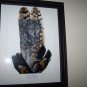 Wolf Framed Feather Art - OWwo
