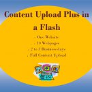 Content Upload Plus in a Flash