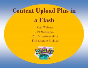 Content Upload Plus in a Flash