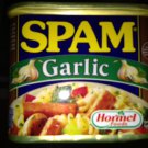 SPAM  (午餐肉)