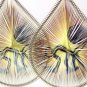 Unique Earrings