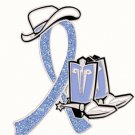 Stomach Cancer Periwinkle Glitter Ribbon Cowgirl Cowboy Western Boots Hat Pin