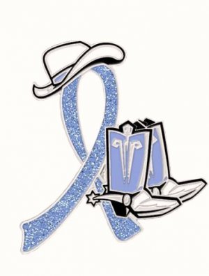 Stomach Cancer Periwinkle Glitter Ribbon Cowgirl Cowboy Western Boots Hat Pin
